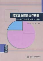 民營企業財務運作精要——從工作環節入