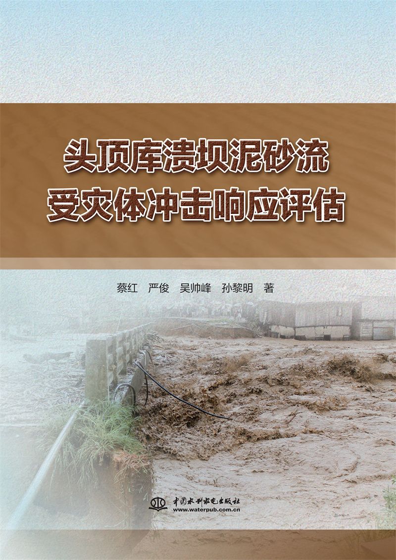 頭頂庫潰壩泥砂流受災體沖擊響應評估